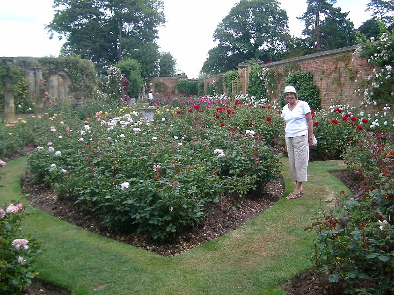 IMGP4915.JPG - Jean in the Rose Garden